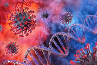 3D Virus DNA