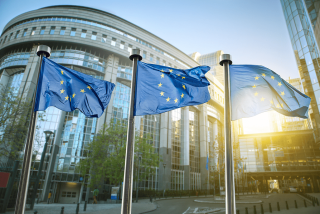 EU Flags Building Sunrise