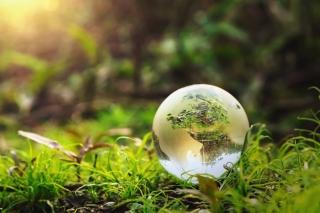 Glass globe in grass