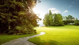 Path through a park with trees and grass stock photo used by Woodruff Sawyer.