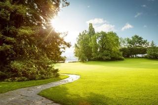 Pathway leading through green park