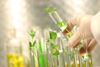 Plans in Test Tubes