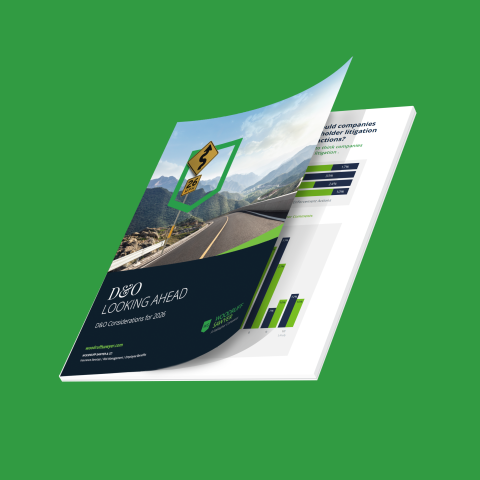 D&O LA guide cover