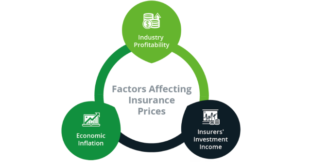 Factors Affecting Insurance Prices graphic