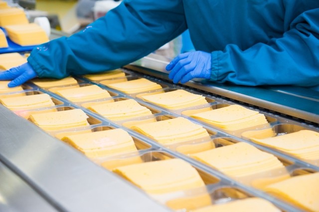 cheese food processing