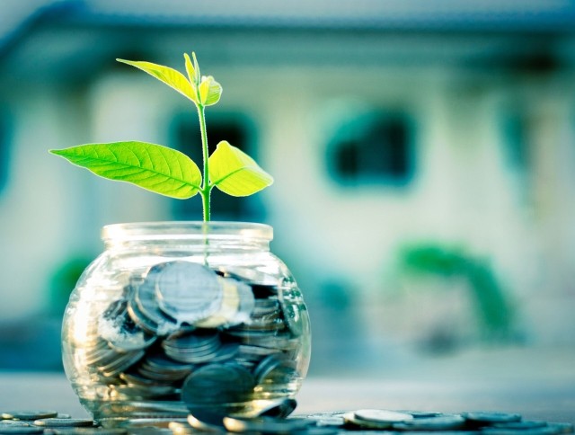 Plant in Money Jar Savings