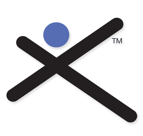 An image of Silicon Valley Directors' Exchange logo showing an X symbol, a blue dot, and a trademark symbol.