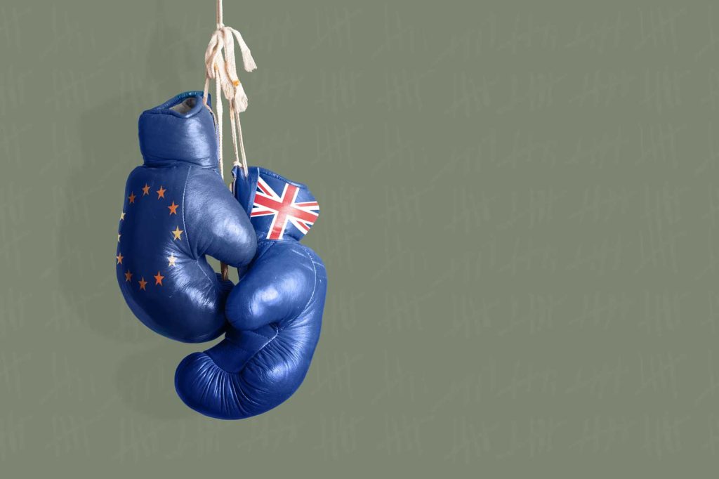 Brexit Boxing Gloves
