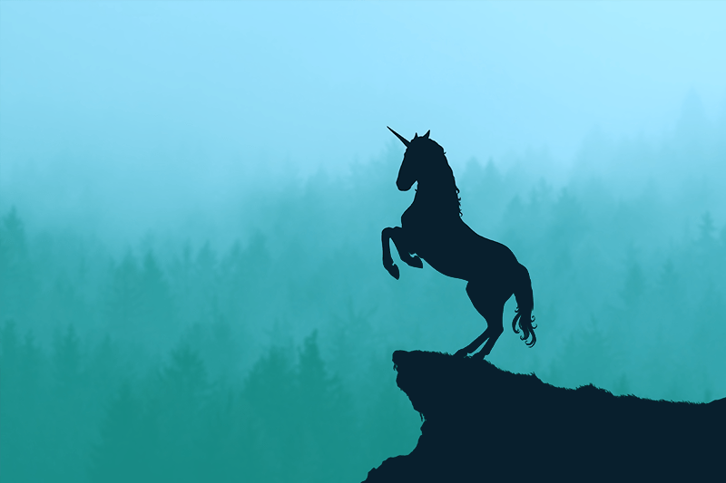 Unicorn on a teal background