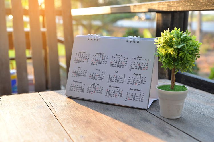 A calendar standing on a wooden table with a potted tree outside while the sun is shining.