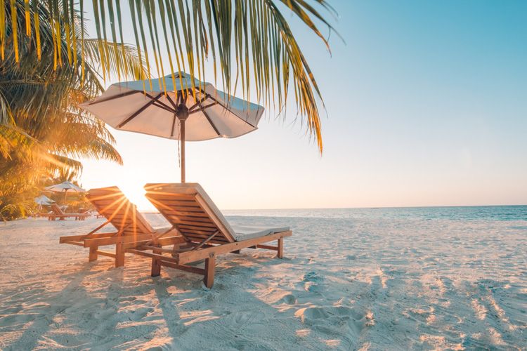 beach chair palm trees sunset