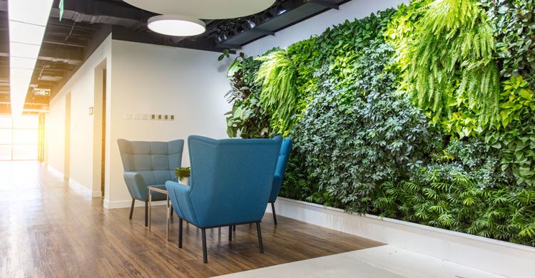 Office lobby area with green living wall and sun shining through window