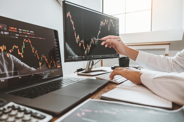 Stock portfolio charts computer investor_