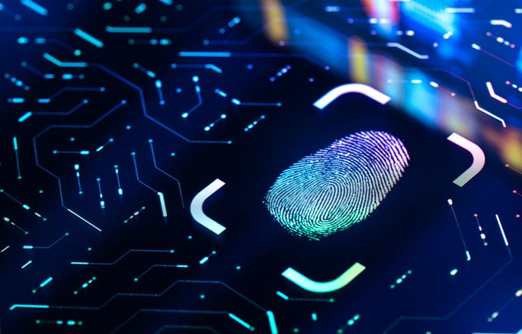fingerprint biometric data cyber