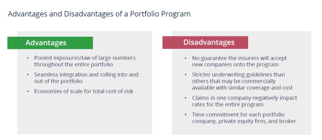 Graphic depicting the advantages and disadvantages of a Portfolio Program